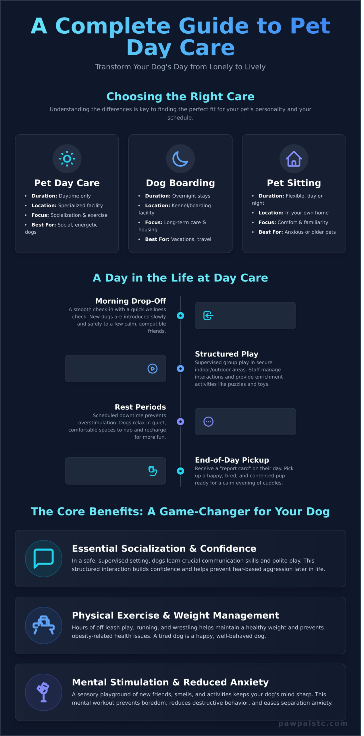 What is Pet Day Care? A Complete Guide for Concerned Owners - Infographic